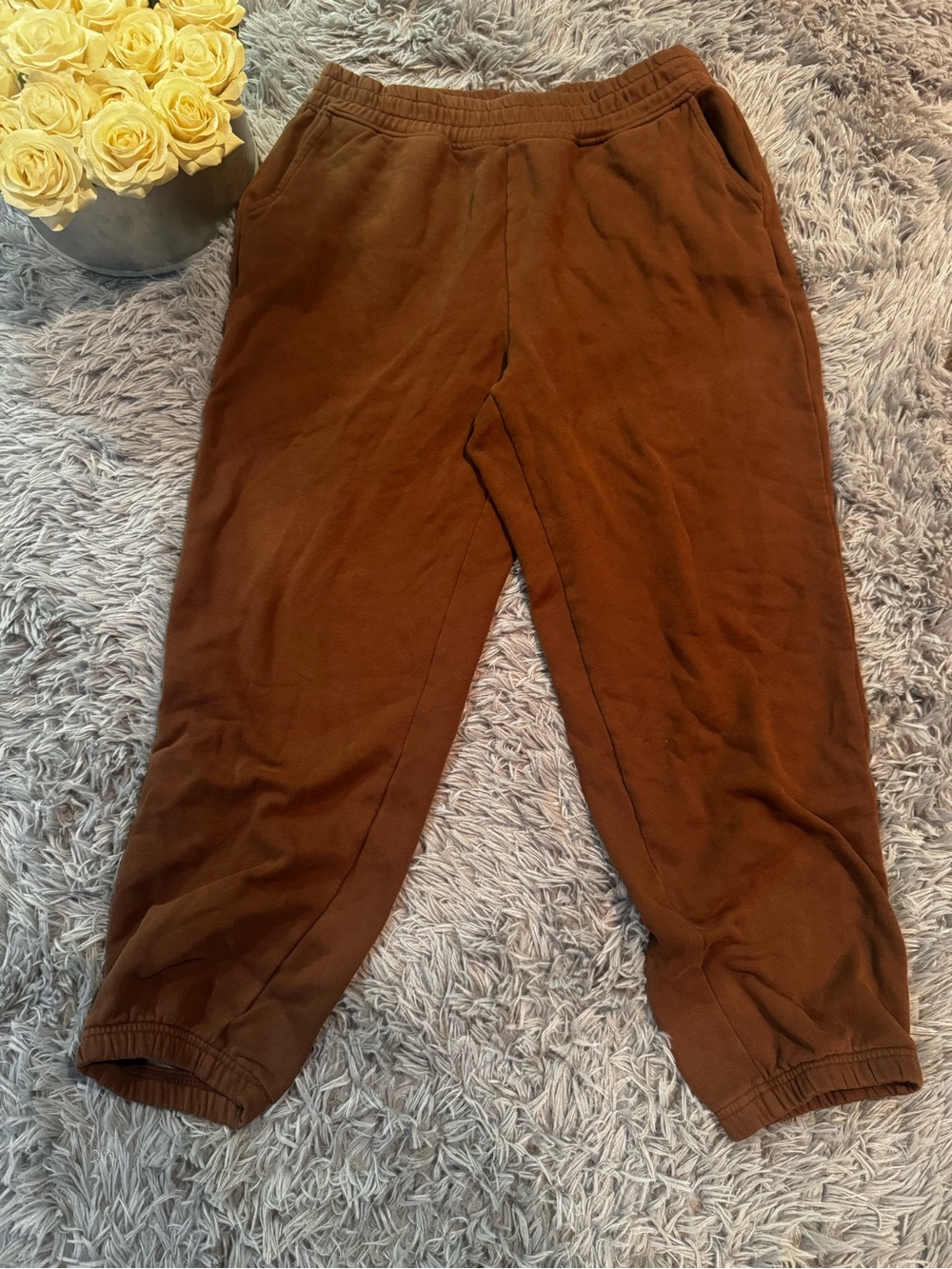 American Eagle Outfitters Brown Fleece-Lined Joggers
